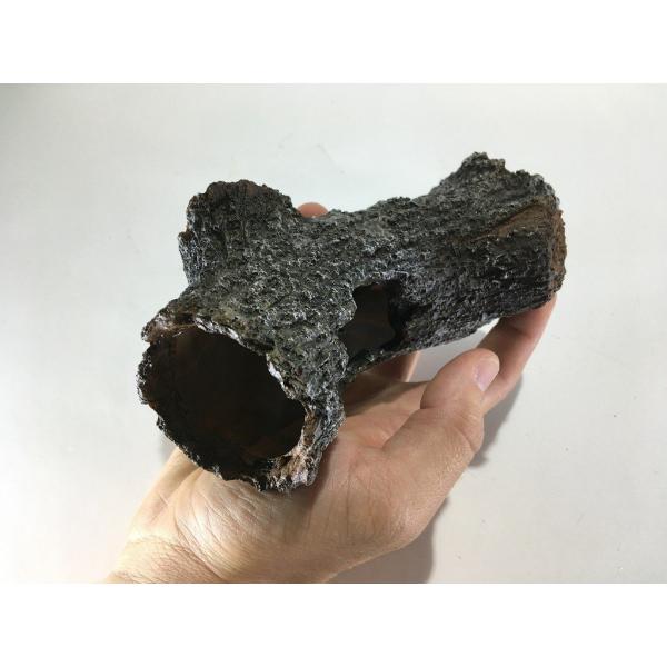 UP Aqua dutý kmen L (obrázek 5)