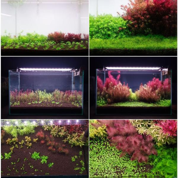 Neo Fluid No CO2 300 ml (obrázek 6)