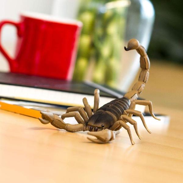 Safari® Škorpion (obrázek 3)