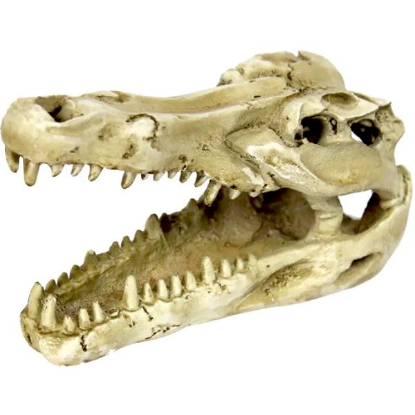 Terarijní dekorace Krokodílí lebka 14x9x7cm