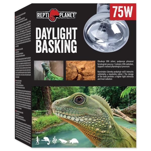 Lampadina Repti Planet Daylight Basking Spot 75W