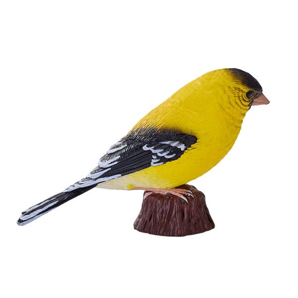 Můj Čížek žlutý