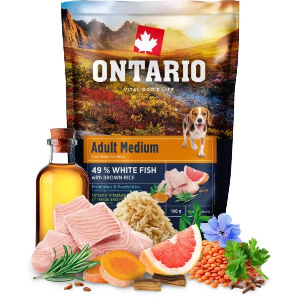Vzorek Ontario Adult Medium Fish & Brown Rice 0,1kg