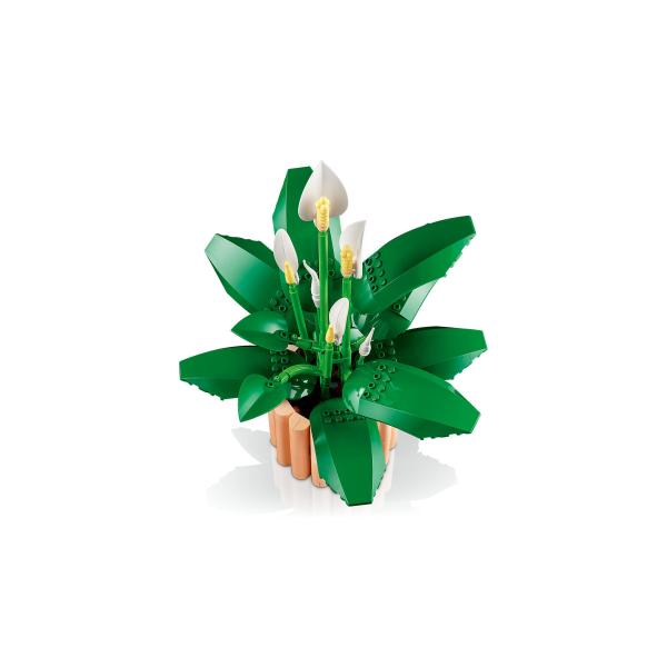 LEGO® Botanicals 11504 Toulcovka (obrázek 5)