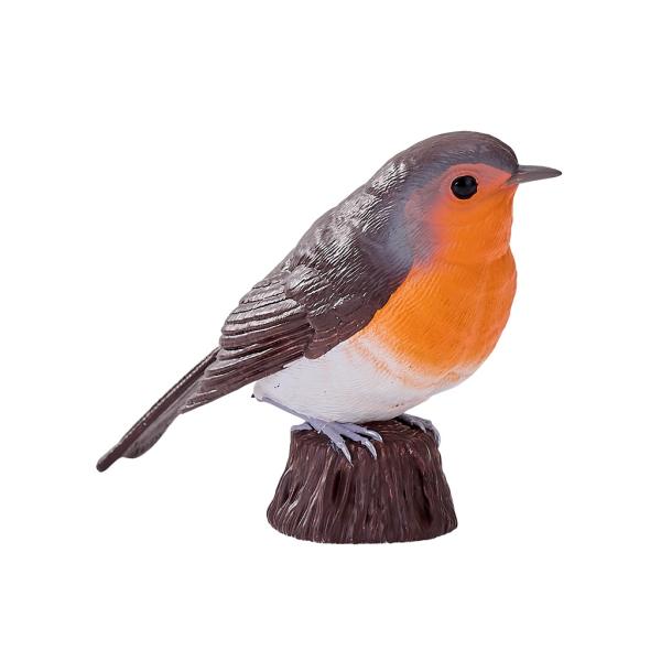 Moje Červenka obecná