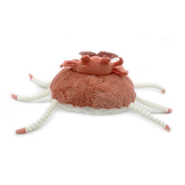 PTIPOTOS Plyšový krab Cassecou cihlová - máma s miminkem (obrázek 4)