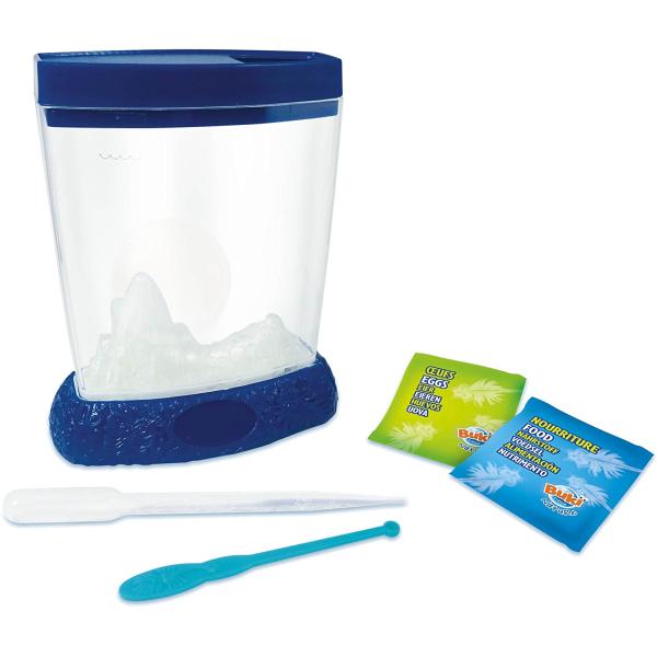 Buki – vodní dráčci