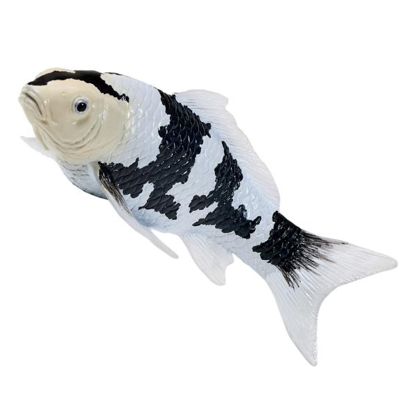 Mojo Kapor koi shiro utsuri (obrázek 4)