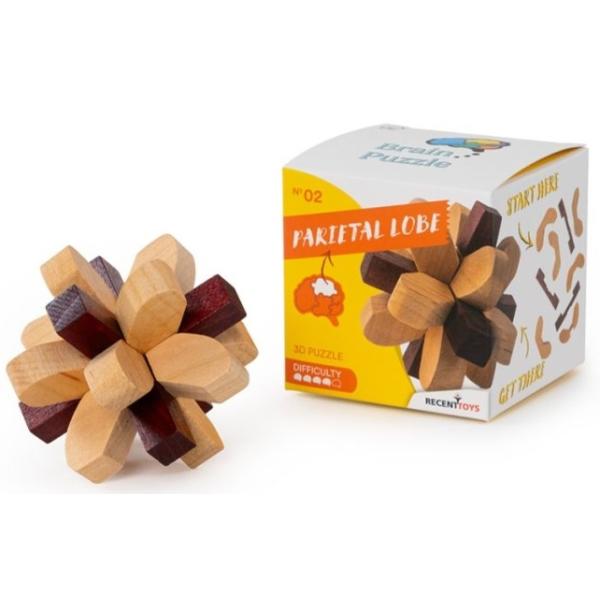 RECENTTOYS Brain Puzzle 1 - lobo parietale