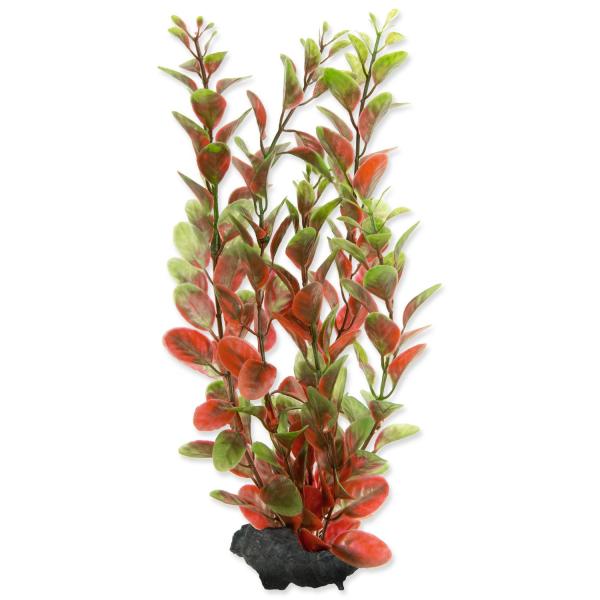 Dekorace Tetra Rostlina Red Ludwigia M 23cm