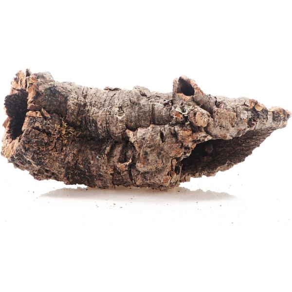 INVITAL Kôra korkového duba M (nad O12 cm)