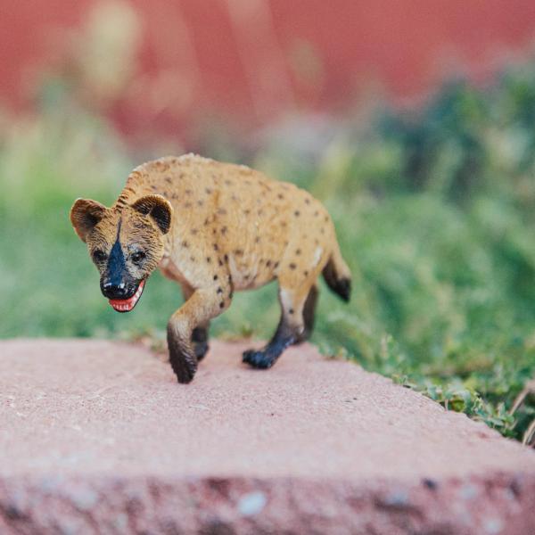 Safari® Hyena