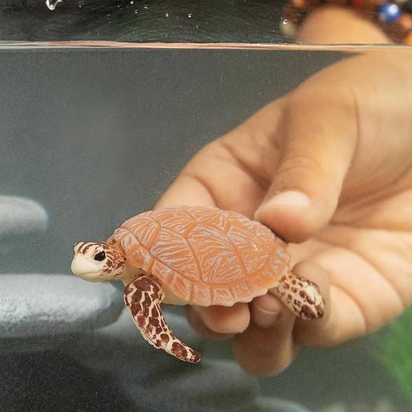 Schleich Kareta pravá