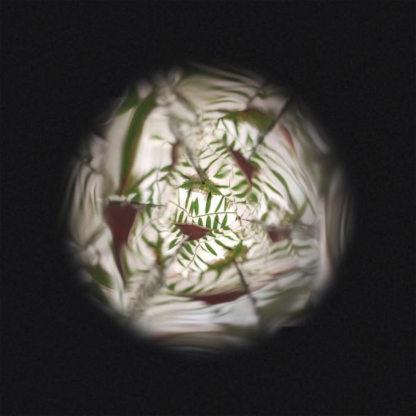 Janod Happy Garden Vyrob si svůj květinový kaleidoskop DIY (obrázek 4)