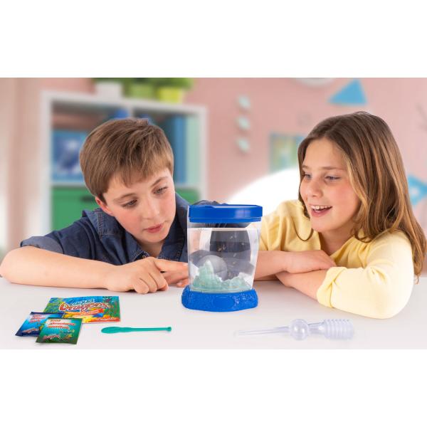 Vodní dráčci v akváriu s indikátorem teploty vody (obrázek 4)