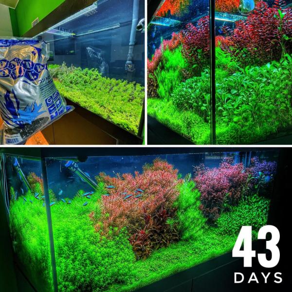 Controsoil 3l Prášek japonský substrát