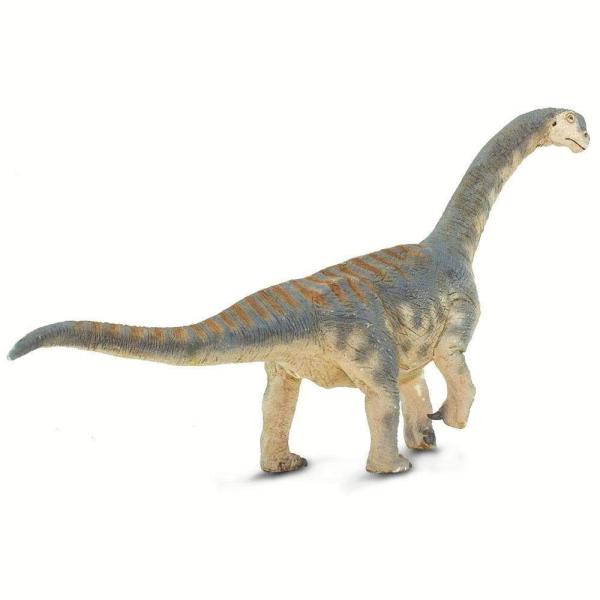 Safari® Camarasaurus dinosaurus