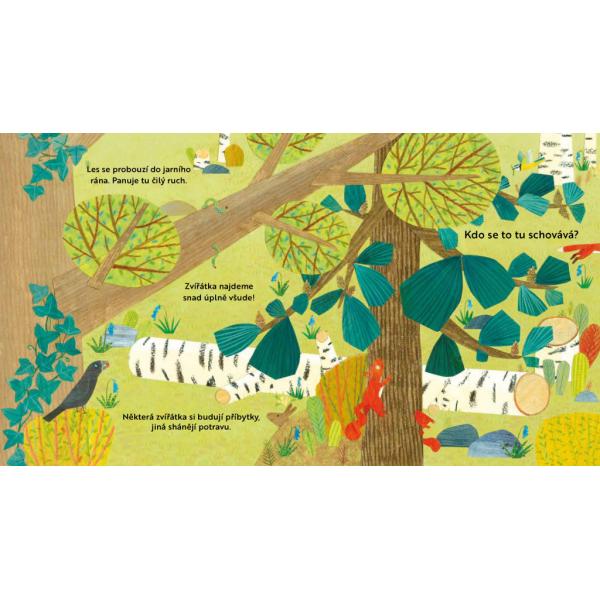 Kto sa tu skrýva? V lese – Knižka s odklápacími okienkami