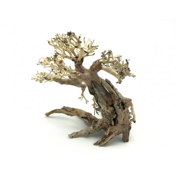 Bonsai Driftwood 25 x 20 x 23 cm č. 82