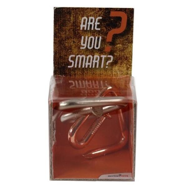 RECENTTOYS Are you Smart