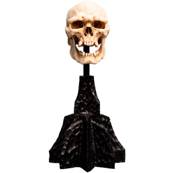 Weta Workshop The Lord of the Rings - Miniatura lebky skřeta z Mordoru