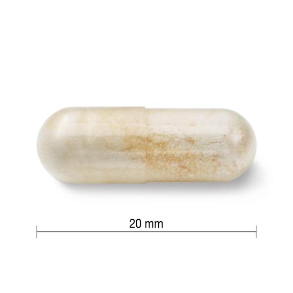 Jamieson Probiotic 30 miliard 30 tablet