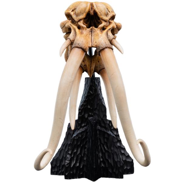 Weta Workshop Pán prstenů: Miniaturní lebka Mumaka