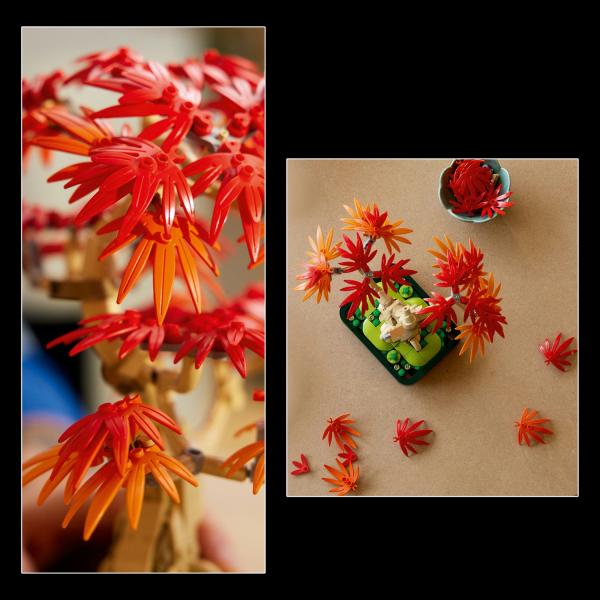 LEGO® Botanicals 10348 Bonsaj – Japonský červený javor