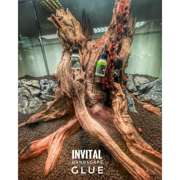 INVITAL HardScape Glue 20 g – lepidlo na dekorace