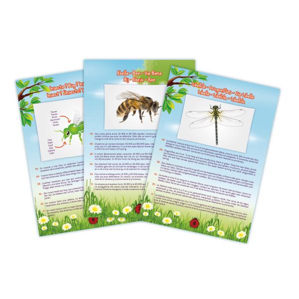 Sací chyták na hmyz (BL052) (obrázek 5)