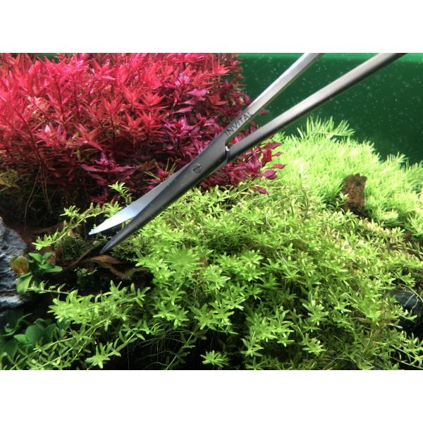 Nůžky zahnuté 30 cm (obrázek 3)