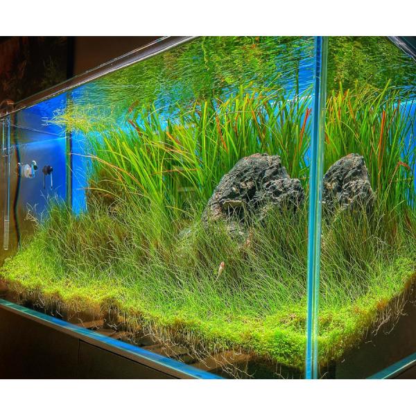 Sinkor LED Maister 90 cm WRGB 90W s Wifi LED ovládáním (obrázek 5)