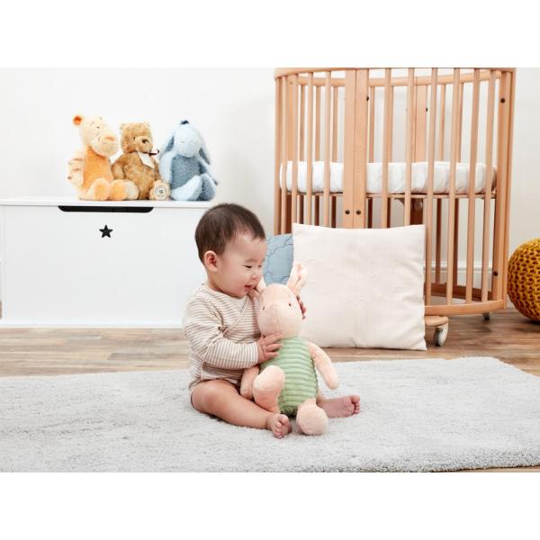 Rainbow Plyšové Prasátko