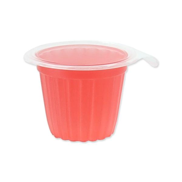 Krmivo Repti Planet Jelly Pots Mixed 8ks (obrázek 5)