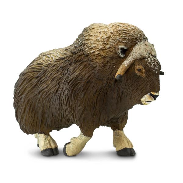 Safari® Muflon (obrázek 4)