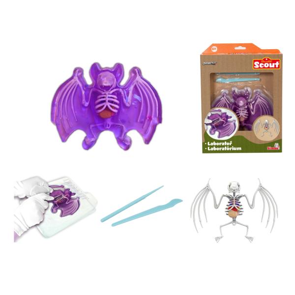 Objevuj Pitva Netopýr