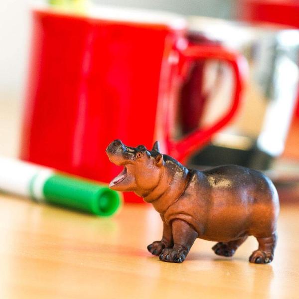 Safari® Mládě hrocha