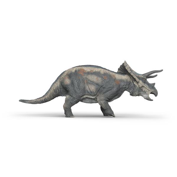 Schleich Prehistorické zvířátko - Triceratops (obrázek 3)