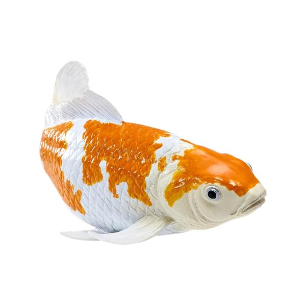 Mojo Kapor koi ochiba shigure (obrázek 4)