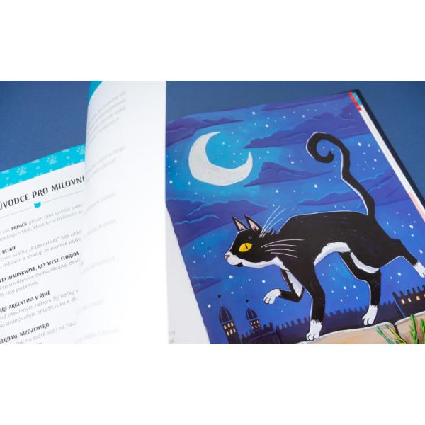 Kočky v akci! – Nevídané kočičí příběhy