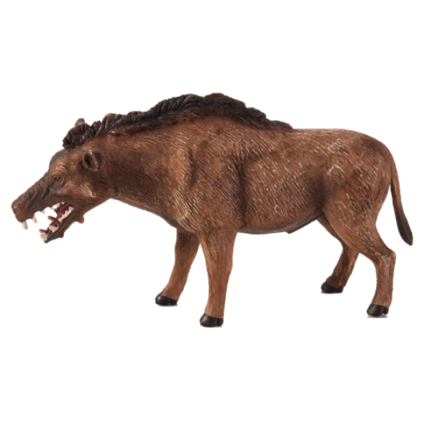Mojo Entelodont Daeodon