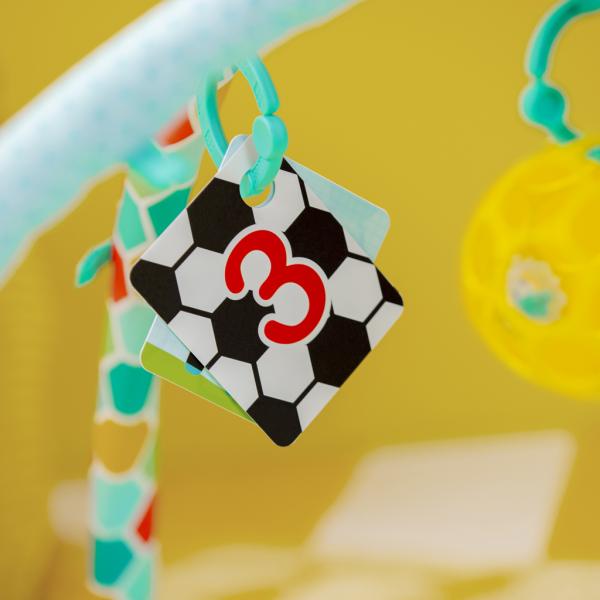 BRIGHT STARTS Hrací deka s aktivitami Oball Grip & Kick™ 0m+ (obrázek 10)