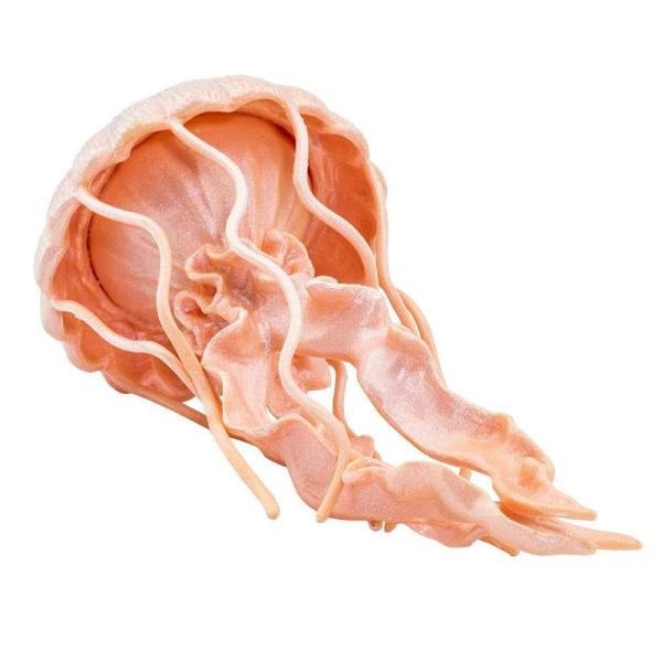 Safari® Medúza žahavá (obrázek 3)