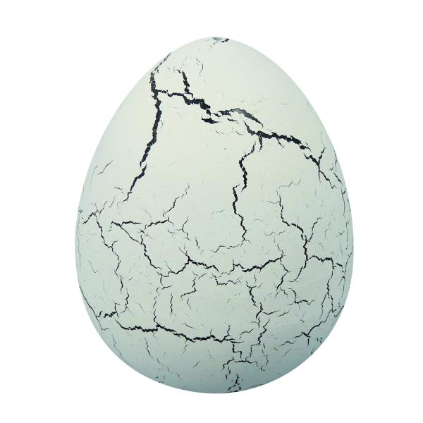 Dinosauří vejce zrající (D6G) (obrázek 9)