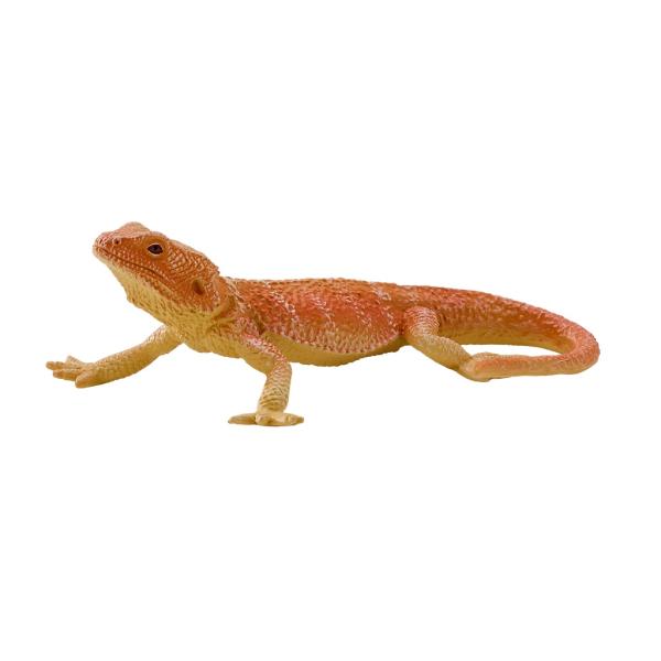 Mojo Agama (obrázek 4)