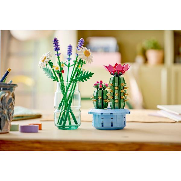 LEGO® Botanicals 11509 Kvetoucí kaktus