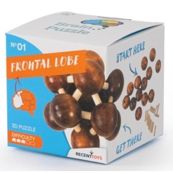 RECENTTOYS Brain Puzzle 1 - čelní lalok (obrázek 3)