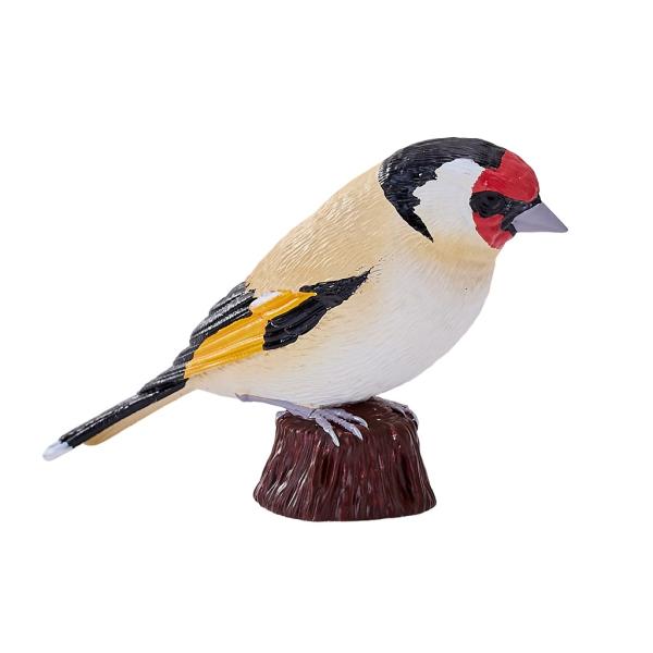 Moje Stehlík obecný