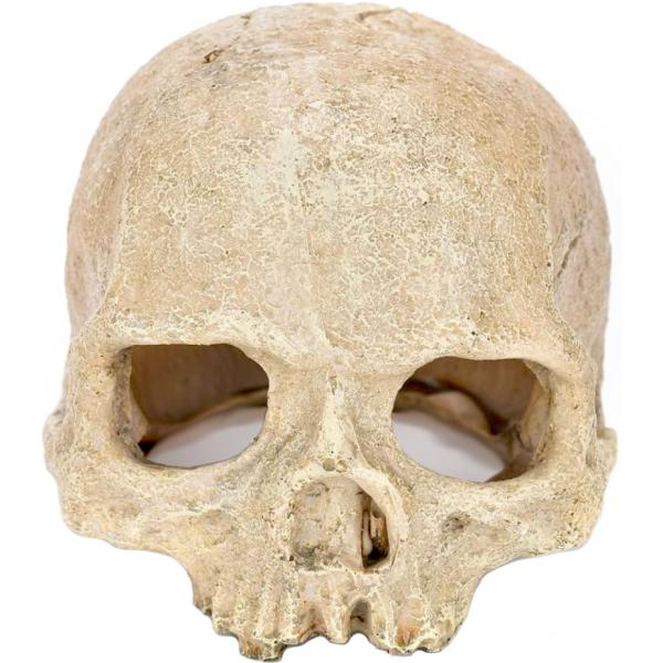 Dekorace do terária Lidská lebka 14x12cm