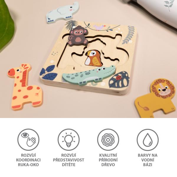 Dřevěné puzzle hlavolam, Wood